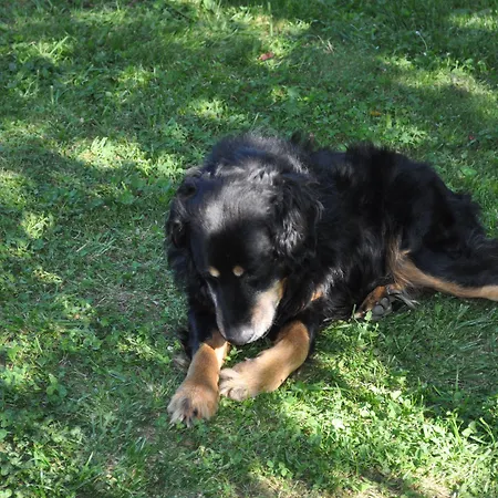 La Ribeyrette Couette-café